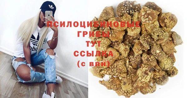 герыч Кинешма