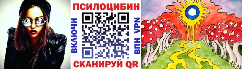 Псилоцибиновые грибы прущие грибы  Ликино-Дулёво 